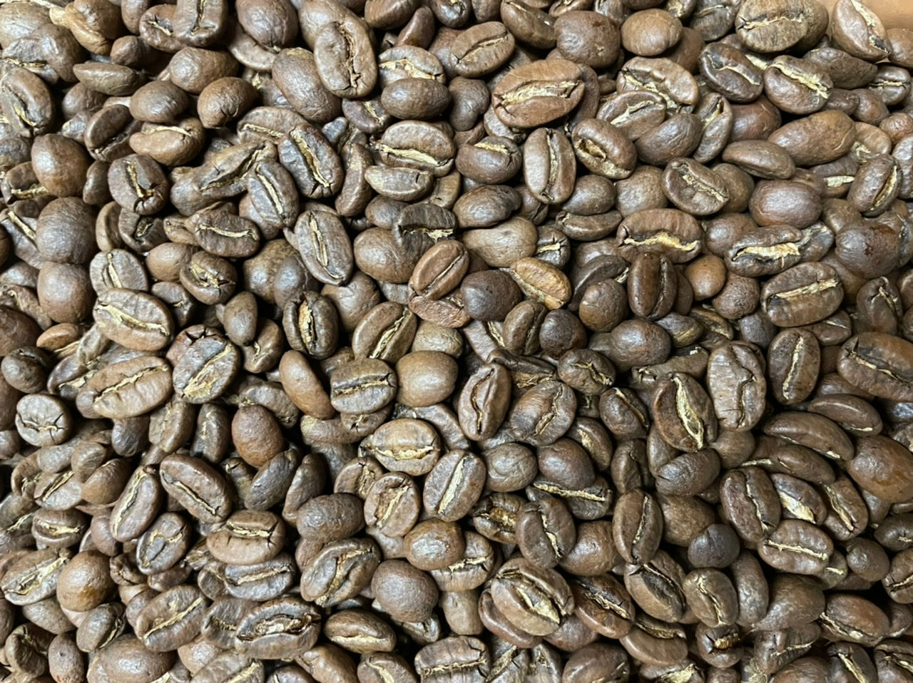 Light Monthly Roast Coffee