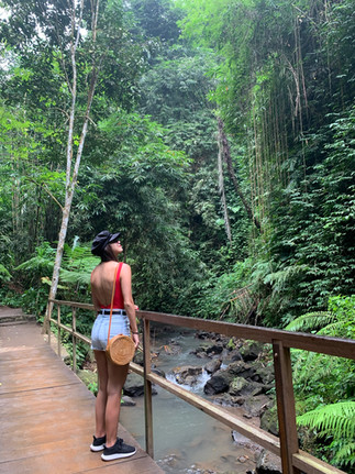 cascade ubud bali