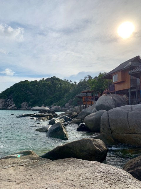 shark bay Koh Tao