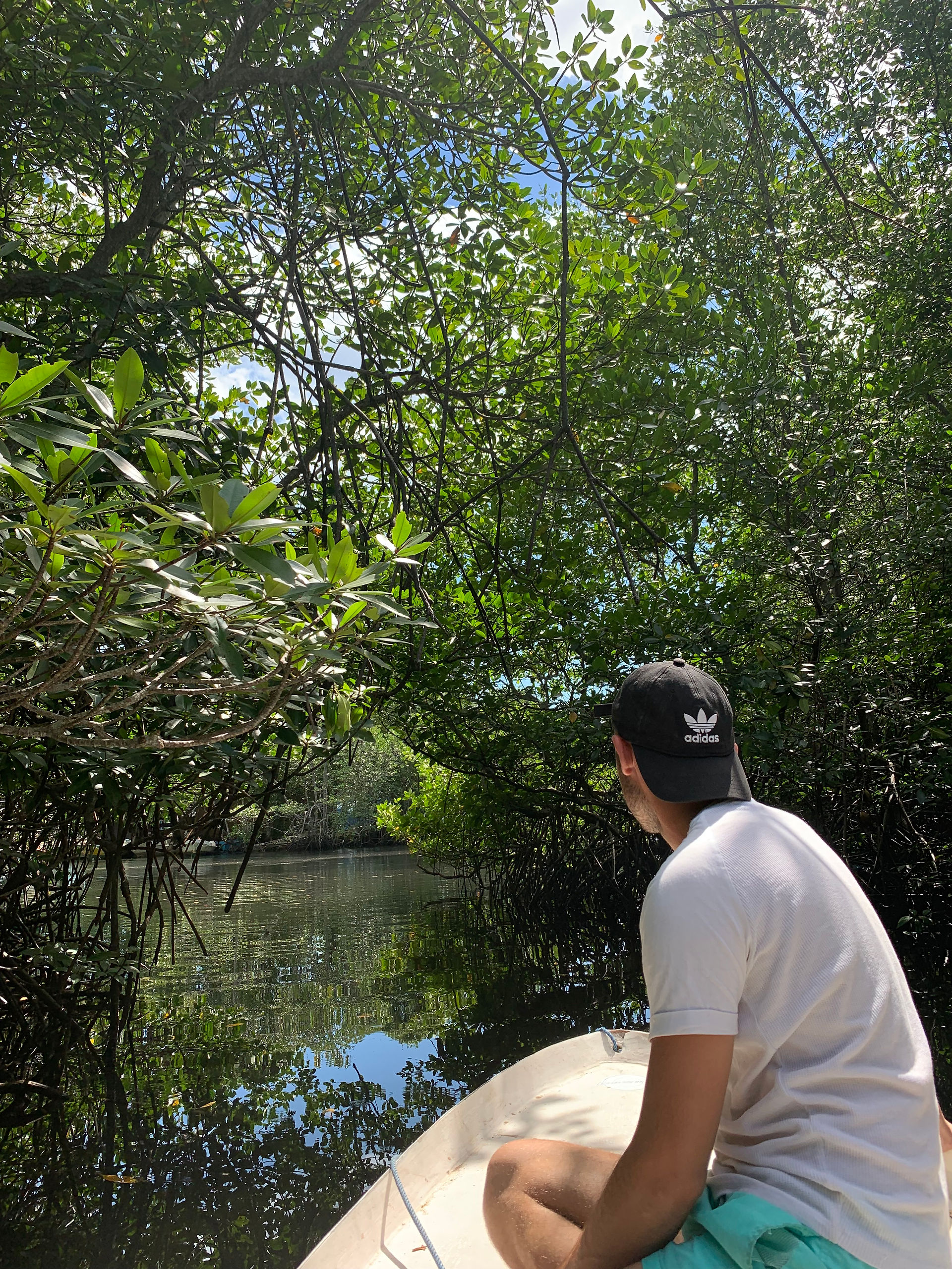 mangrove nusa lembongan