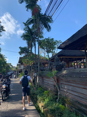 centre ville ubud bali