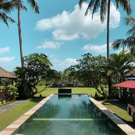Nos adresses à Bali