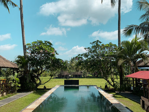 Nos adresses à Bali