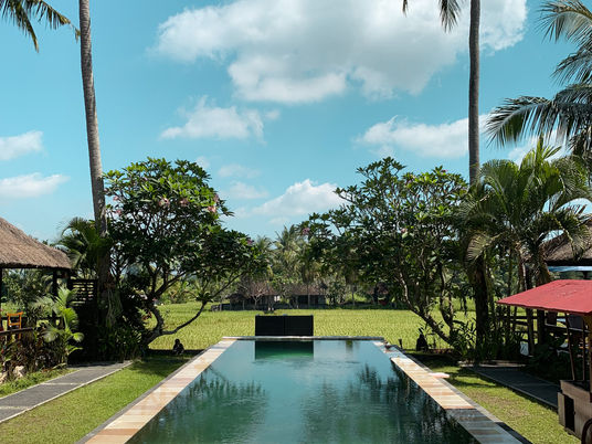 Nos adresses à Bali 