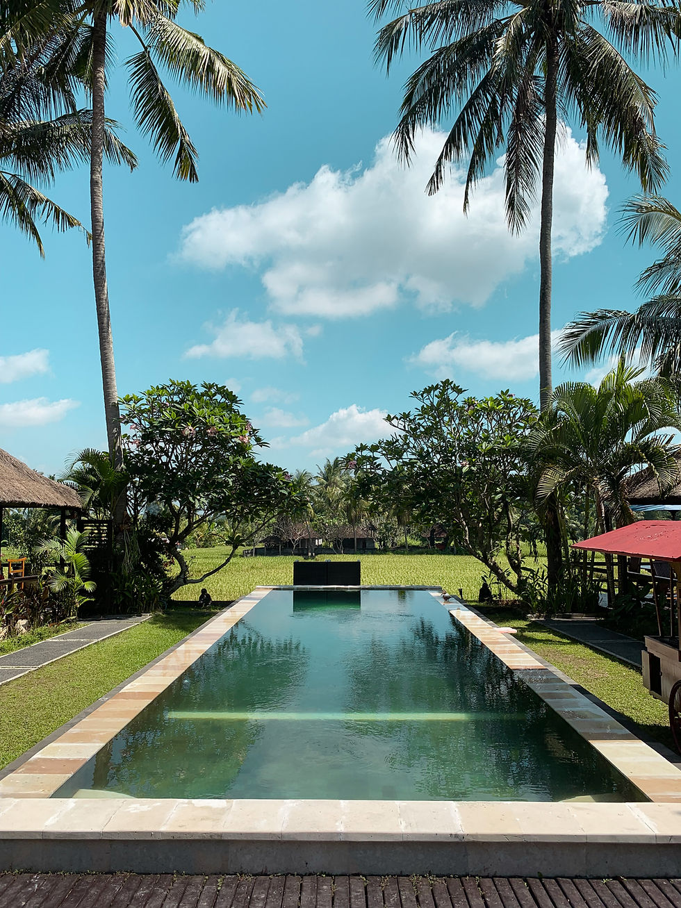Nos adresses à Bali 