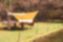 IMGP8298_edited.jpg