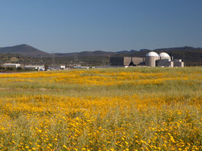Almaraz nuclear power plant sits in a field in Spain surrounded by yellow flowers