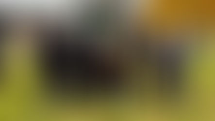 Nouvelles CJRO Radio - 1 décembre 2025