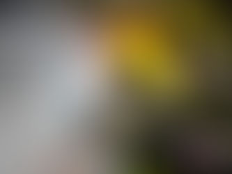 Nouvelles CJRO Radio - 24 février 2026