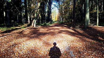 menschlicher Schatten im Wald
