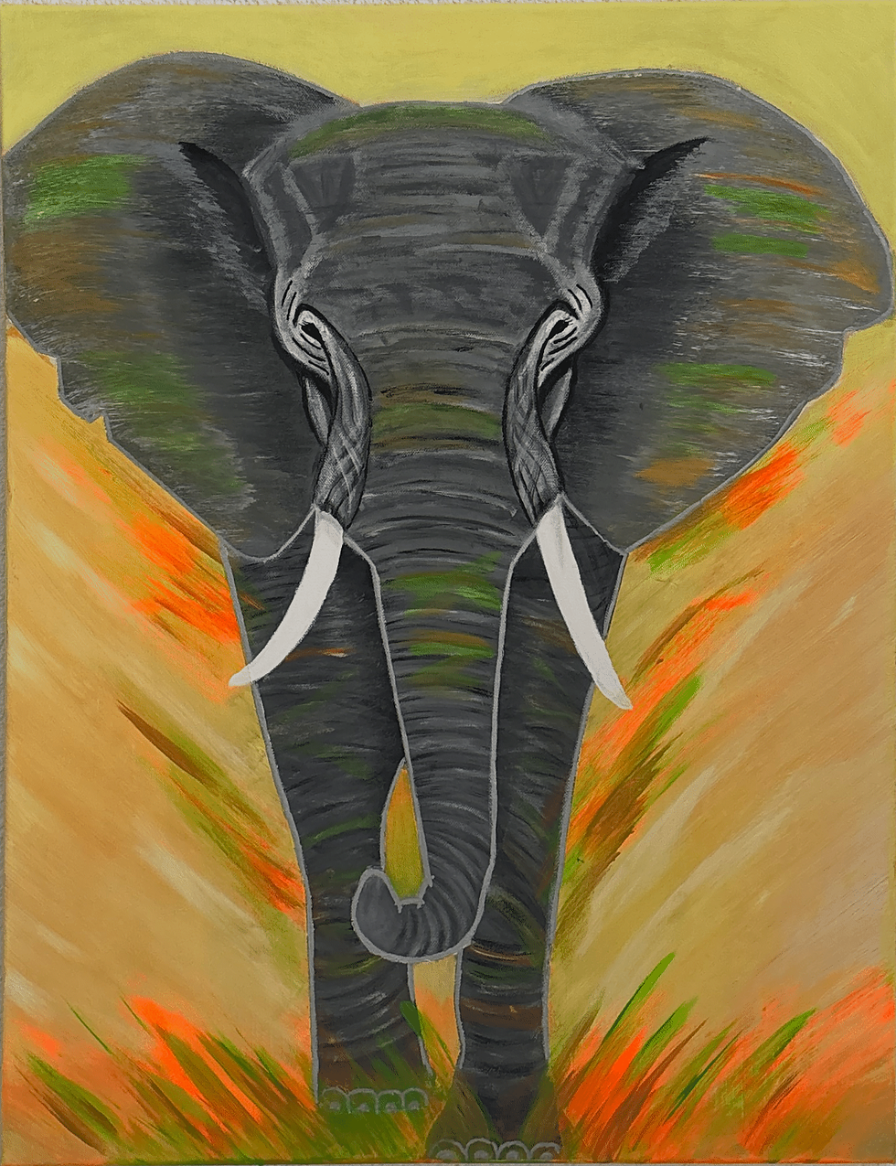Der Farbenfant 75x58x1.5 350CHF.png