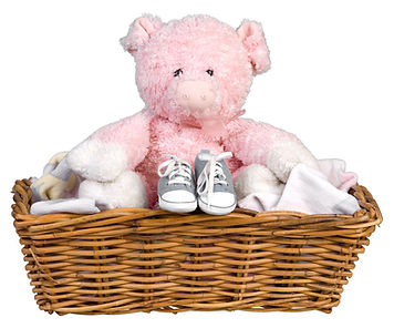 Plushie and Baby Hamper