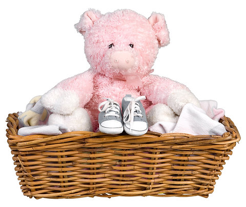 Anzahlung Tagesbox