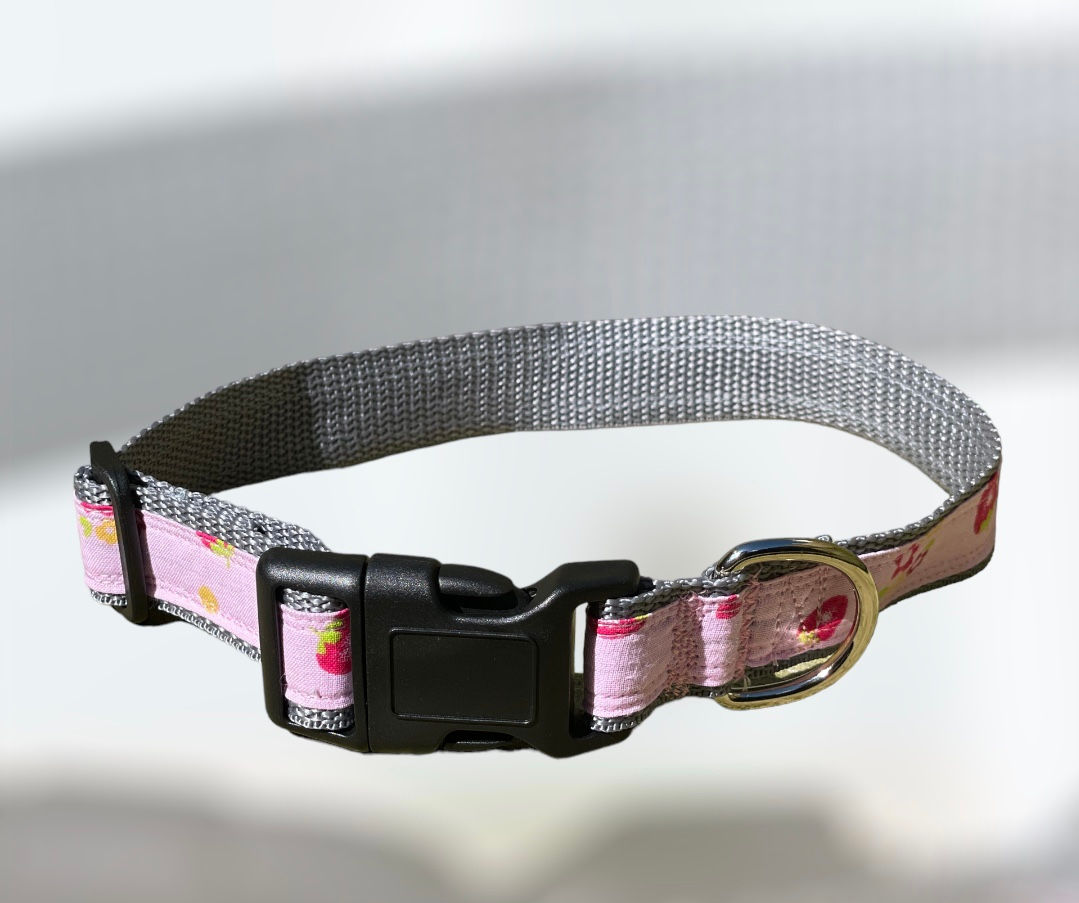 Berry sweet pink and grey collar