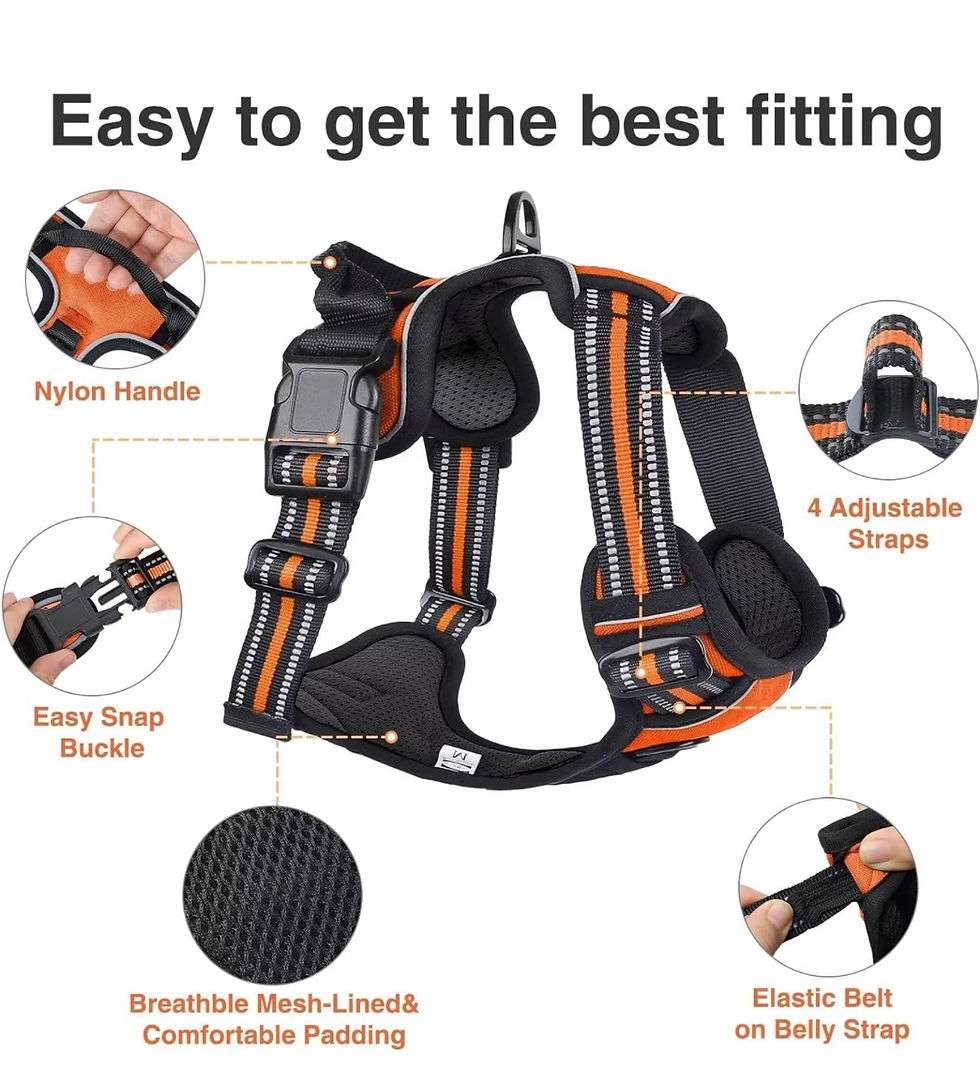 Thumbnail:  no pull harness vest