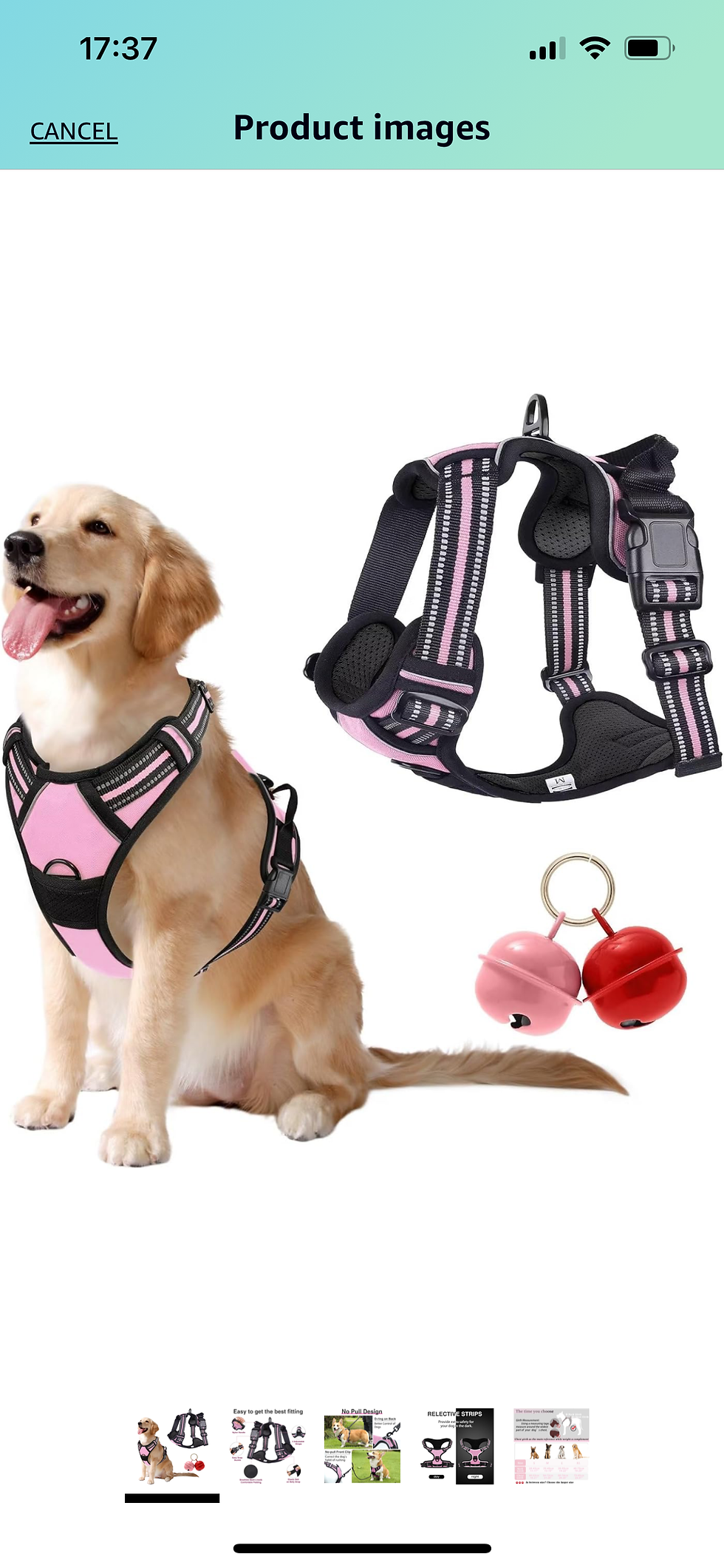 Thumbnail:  no pull harness vest