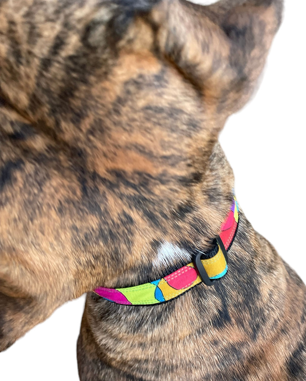 Thumbnail: Abstract collar