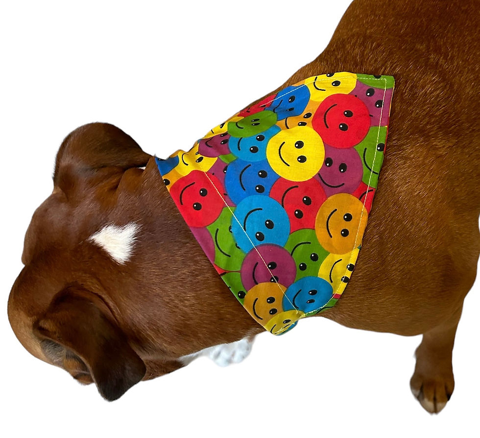 Thumbnail: Elasticated smiley bandana