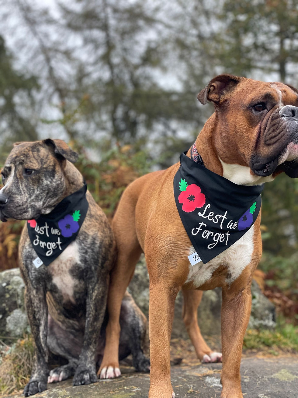 Thumbnail: Remembrance day bandana 