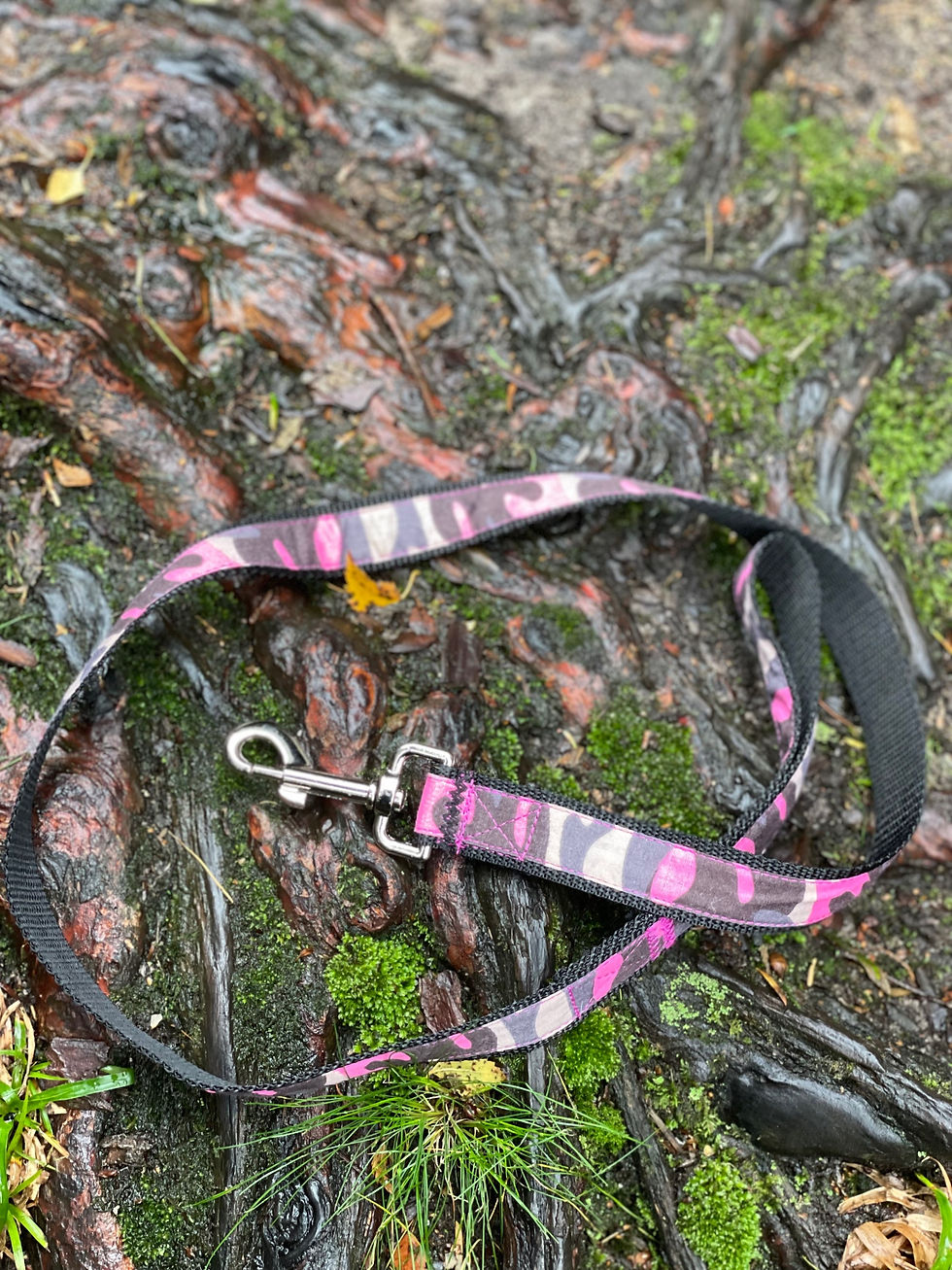 Thumbnail: Pink camo lead