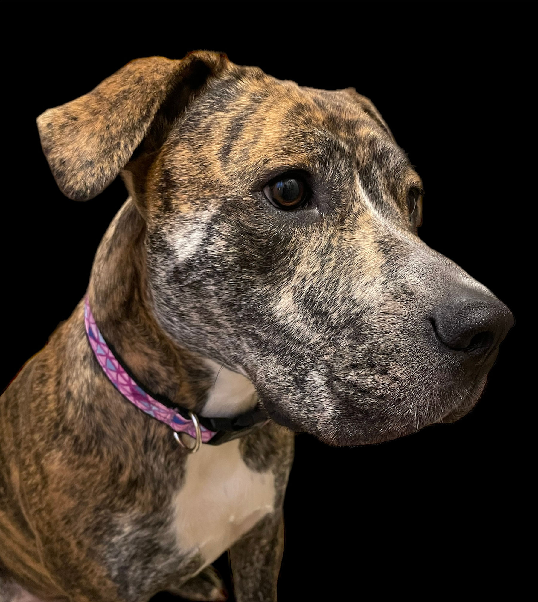 Geometric pattern collar
