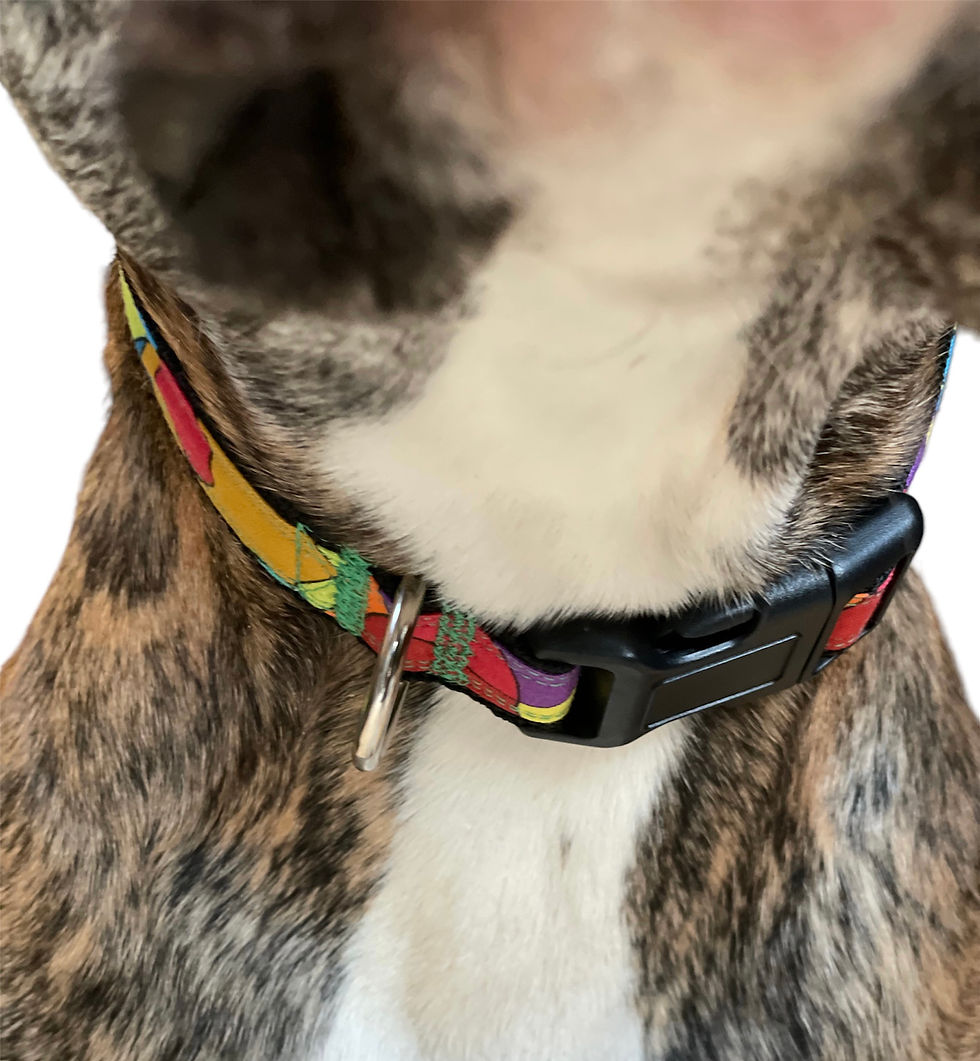 Thumbnail: Abstract collar