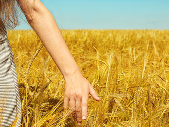 Redag Crop Protection sows the seeds of growth