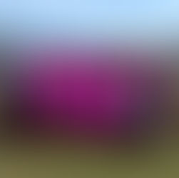 U15 Blacks complete their best placed finish