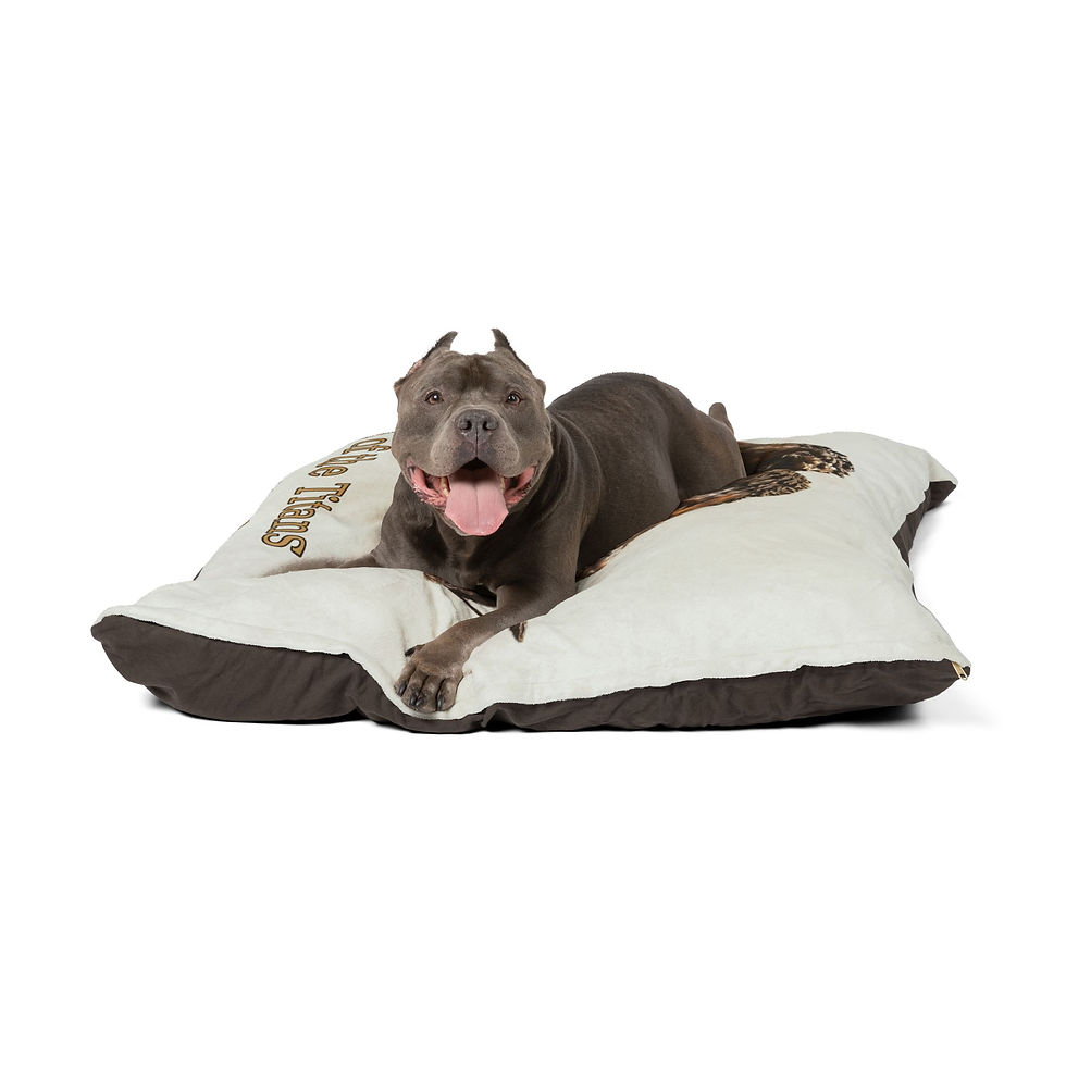 Thumbnail: Duel of the Titans Pet Bed for Dogs & Cats