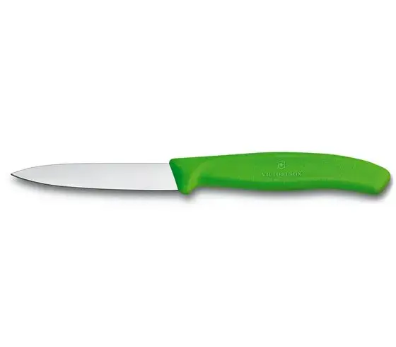 Victorinox Swiss Classic Gemüsemesser grün