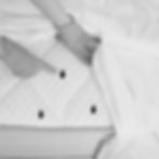 excrément punaise de lit