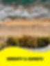 Serenity copy