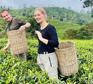 walkin srilanka tours