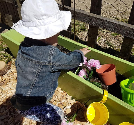 garden 1.jpg