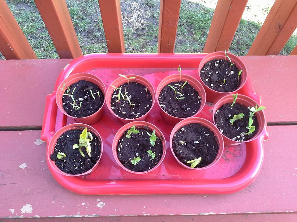 We Are Springing Into April
