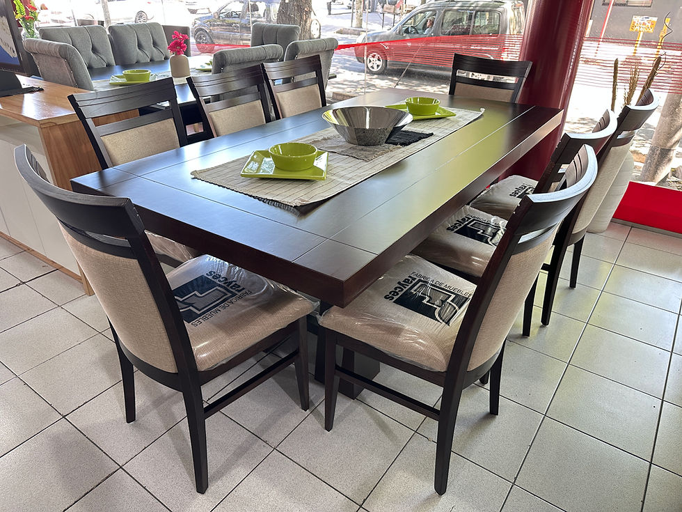 MESA CHIPRE 200X100 + 8 SILLAS R462