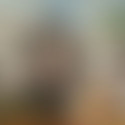 Wakanda Forever-The King Lives On