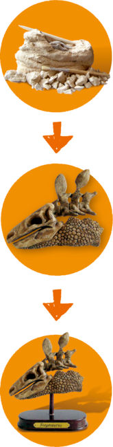 Miniaturbild: Spiegelburg Ausgrabungsset Dinoschädel Stegosaurus T-Rex World