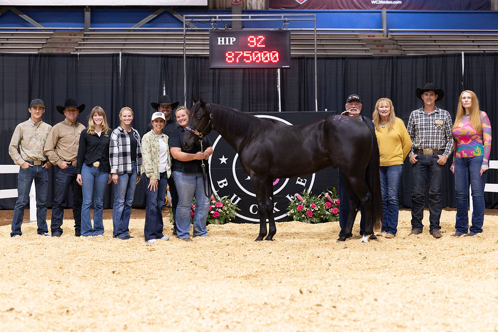 Solo Select, Relentless Remuda’s Stallion Blackkout Shatters Pink