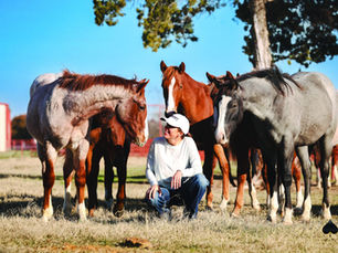 ADM Animal Nutrition Partnership with Solo Select Will Develop Best-in-Class Feed Program