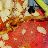 maisie cousins edit 17.jpg