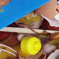 maisie cousins edit 20.jpg