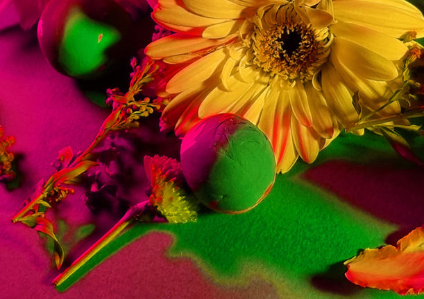 Marc Quinn edit 18.jpg