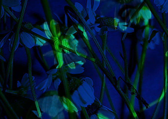 Fischli & Weiss edit 3.jpg