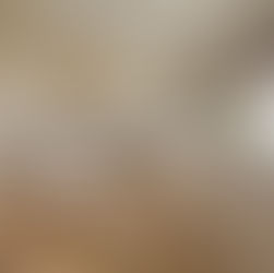 Choosing The Best Flooring For Your Kitchen