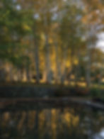 Autumn Pool