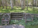 Pool steps to birches