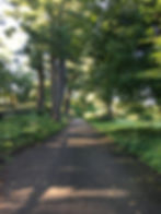 Driveway from house