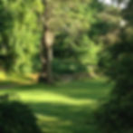 Front Lawn