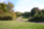 Backfield to apple orchard